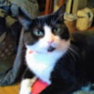 Meet your Posher, Jon